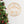 Christ the Savior is Born Christmas Metal Sign