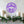 Christ the Savior is Born Christmas Metal Sign