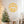 Christ the Savior is Born Christmas Metal Sign