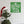 Dear Santa I Can Explain Christmas Metal Sign