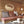 duck hunting scene metal sign