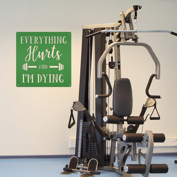 Everything Hurts Funny Gym Sign Wall Decor Sign Man Cave Sign-Home Gym Wall Decor-Gym Wall Art-Funny Gym Wall Decor