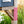 Mailbox Post Address Number Plaque-Wedding - Housewarming Gift