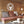 Personalized Deer Hunting Cabin Metal Sign