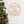 Let's Get Lit Metal Christmas Sign - Holiday Sign