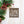 Assorted Candy Cane Themed Christmas/Holiday Metal Ornaments