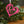 Musical Heart Ornament for Music Lovers - Metal Christmas Tree Decorations - Treble Clef Charm - Music Teacher's Gift - Stocking Stuffer