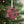 Personalized Snowflake Metal Christmas/Holiday Ornament
