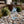 Assorted Autumn/Fall Gnome Metal Garden Yard Stakes-Garden Decor