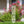 Butterfly Address Metal Yard Stake - House Numbers Address Yard Sign