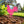 Chicken Garden Metal Yard Stakes-Chicken Lawn Ornaments