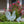 Chicken Garden Metal Yard Stakes-Chicken Lawn Ornaments