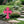 Christian Cross Yard Decoration, Christian Gift, Mother's Day Gift-Gravesite Decoration