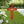 Flower Cross Metal Yard Stake - Christian/Easter Decor-Memorial Gift
