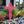 Cross Decor for the Yard- Lawn Ornaments -Easter Cross Yard Decor