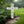 Cross Decor for the Yard- Lawn Ornaments -Easter Cross Yard Decor