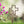 He is Risen Easter Cross Yard Stake-Easter Cross