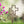 He is Risen Easter Cross Yard Stake-Easter Cross