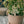 He is Risen Easter Cross Yard Stake-Easter Cross