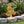 He is Risen Easter Cross Yard Stake-Easter Cross