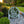 Metal He Is Risen Yard Stake - Christian Easter Decor - Easter Yard Decoration for the Yard -Outdoor Easter Decorations