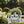 Custom Address Deer Yard Stake-Deer House Number-Address Yard Sign