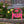 Personalized Flamingo Address Metal Yard Stake, Flamingo Gift, Flamingo Lovers, Flamingo Beach Address Sign for the Yard, Flamingo Address Lawn Ornament with Address, Tropical Address Yard Stake