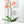 Bless My Blooms Metal Yard Stake - Garden Decor-Memorial Gift-Mother's Day Gift