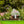 Free Weeds You Pick Metal Yard Stake - Garden Decor-Flowerbed Yard Ornaments Decor