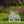 Free Weeds You Pick Metal Yard Stake - Garden Decor-Flowerbed Yard Ornaments Decor