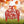 Happy Halloween Metal Decor