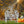 Happy Halloween Metal Decor