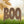 Halloween Decorations, Metal Boo Yard Stake, Outdoor Halloween Yard Stake