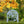 Hello Fall Metal Yard Stake - Autumn Decor