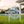 Custom Palm Tree Metal Yard Stake – Personalized Garden Decor - Unique Address Lawn Signs - Outdoor Entryway Signage - Realtor Closing Gift
