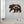 Bear Silhouetts With Mountain Scene Metal Sign