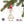 Assorted Gnomes Metal Christmas/Holiday Ornaments