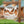 Personalized Duck Hunt Club Metal Sign - Duck Hunting