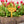 flower garden yard stake with flowers