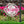 Custom Rose Garden Sign