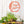 Custom Name Garden Sign- Geometric Garden Sign